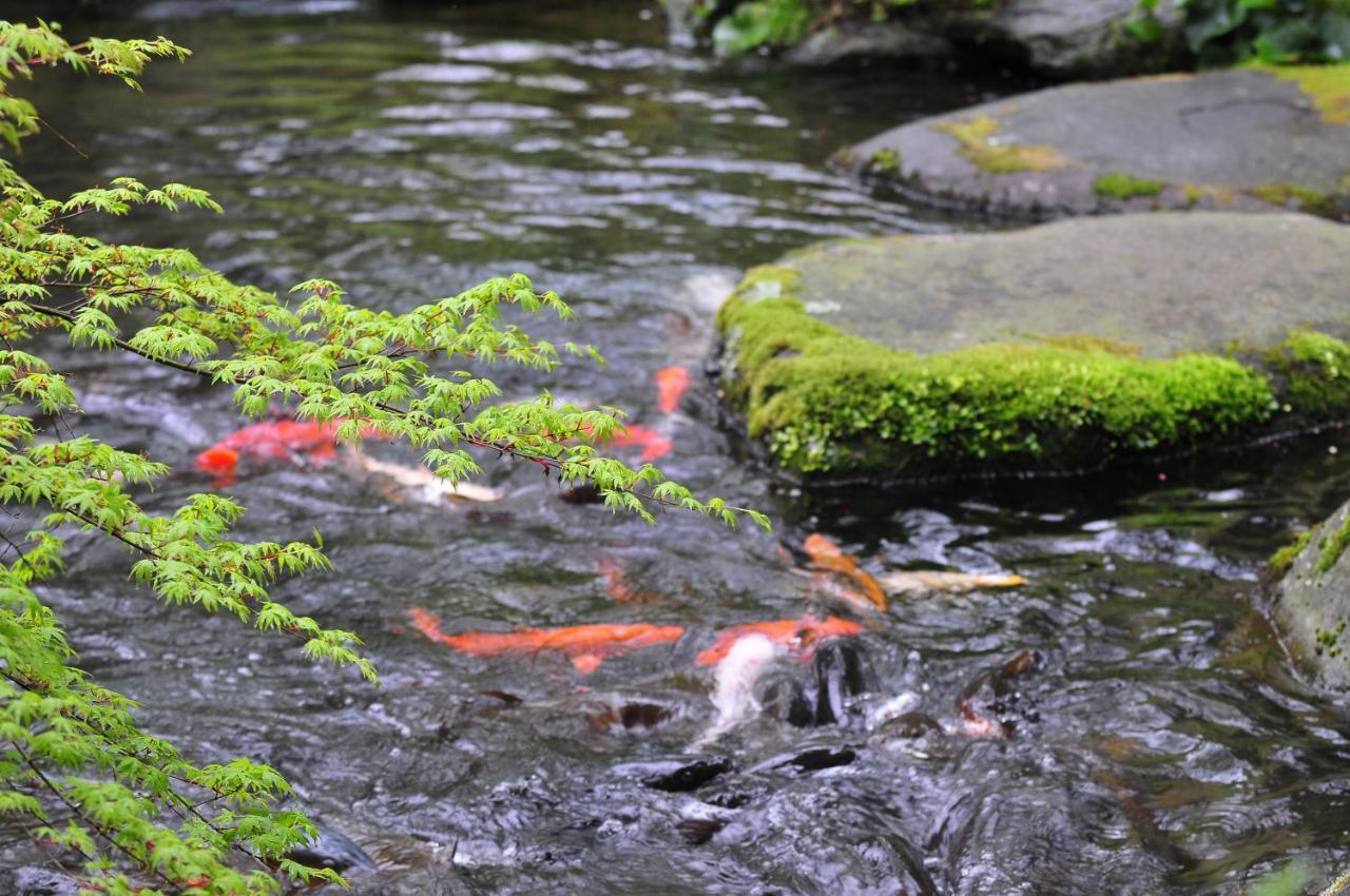 Yoshiike Ryokan Hakone Exteriér fotografie