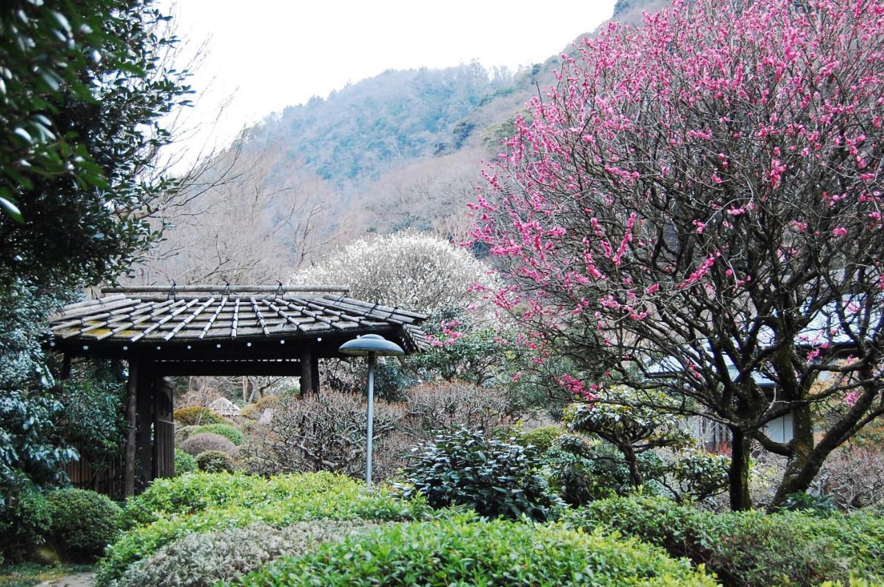 Yoshiike Ryokan Hakone Exteriér fotografie