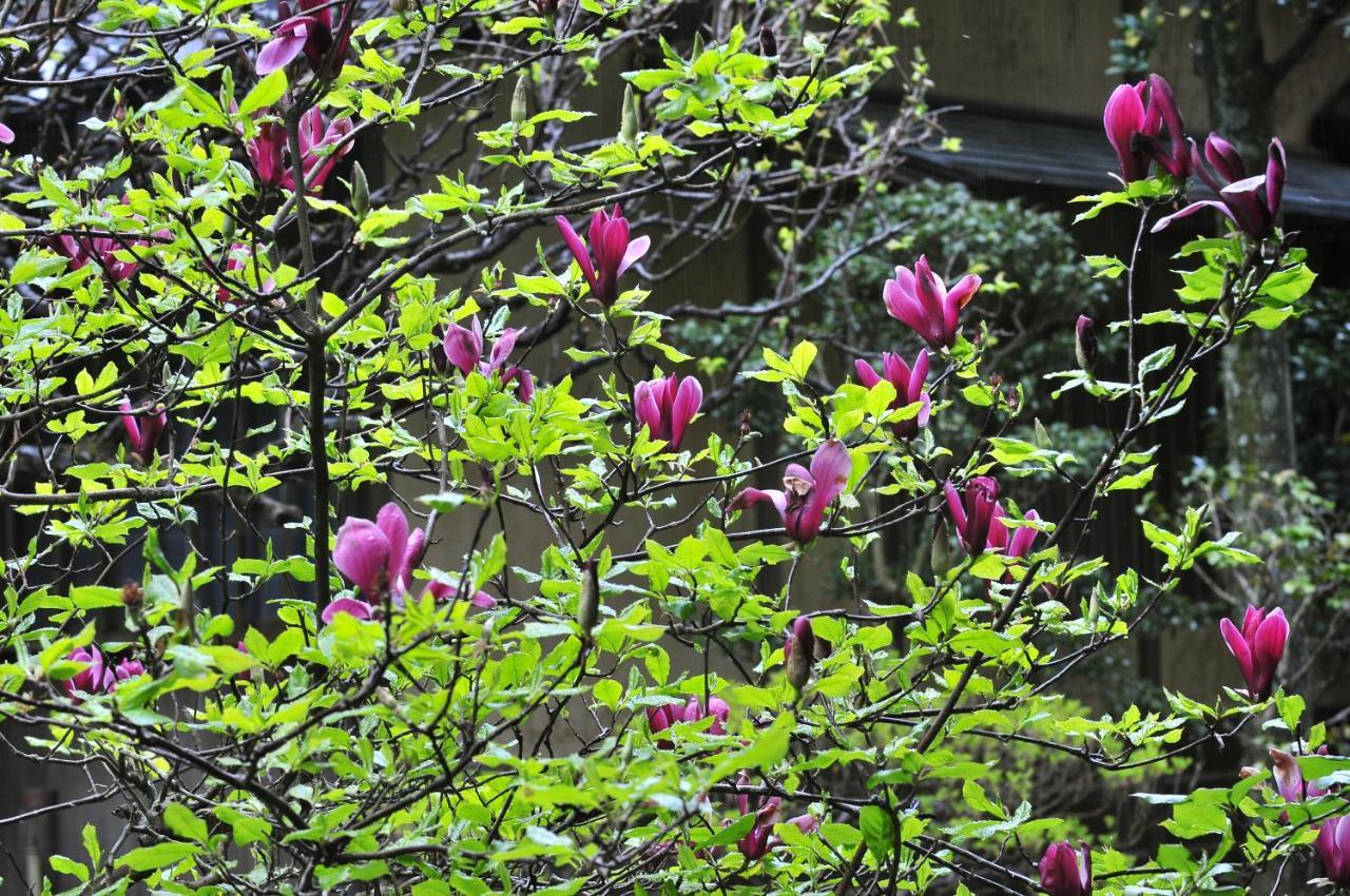 Yoshiike Ryokan Hakone Exteriér fotografie